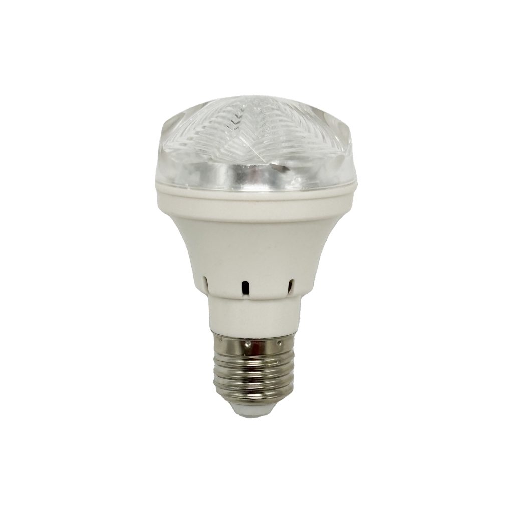 1W LED Bulb